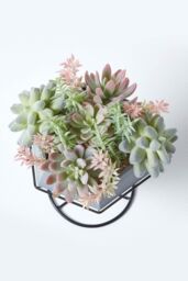 Homescapes Artificial Cactus Succulent Arrangement Decorative Geometric Grey Pot in Green - thumbnail 3