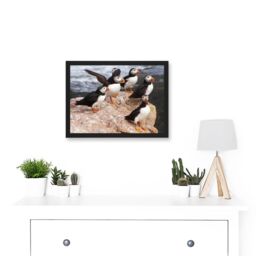 Artery8 Animal North Atlantic Puffins Birds Beach Edge of Ocean Rock Artwork Framed Wall Art Print A4 in Black - thumbnail 2