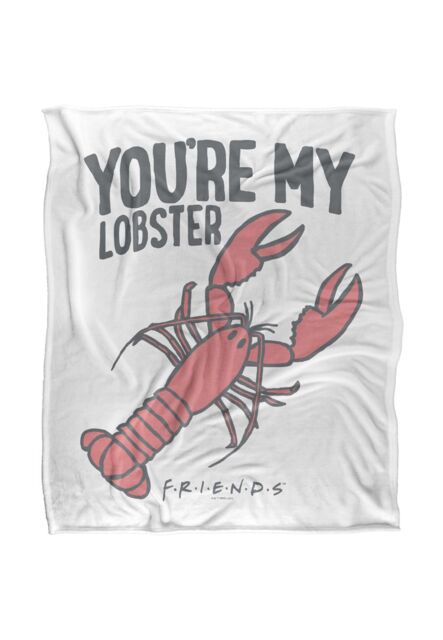 Warner Brothers Friends 152x127cm Rachel & Ross Silky Touch Super Soft Throw Blanket in White - Size: 152x127 cm - image 1
