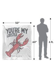 Warner Brothers Friends 152x127cm Rachel & Ross Silky Touch Super Soft Throw Blanket in White - Size: 152x127 cm - thumbnail 5