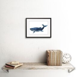 "Artery8 Wall Art Print Blue Whale Watercolour Art Framed 9x7 inch in Black - Size: W7"" x H9""" - thumbnail 2