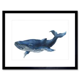 "Artery8 Wall Art Print Blue Whale Watercolour Art Framed 9x7 inch in Black - Size: W7"" x H9""" - thumbnail 1