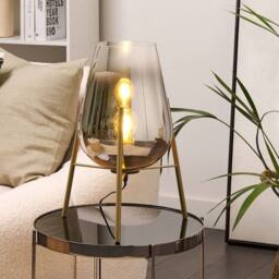 Wyld and Coco Table Lamp Gold Steel with Smoked Glass Shade Modern Glam