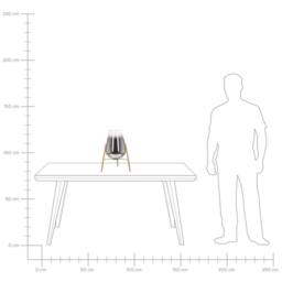 Wyld and Coco Table Lamp Gold Steel with Smoked Glass Shade Modern Glam - thumbnail 8