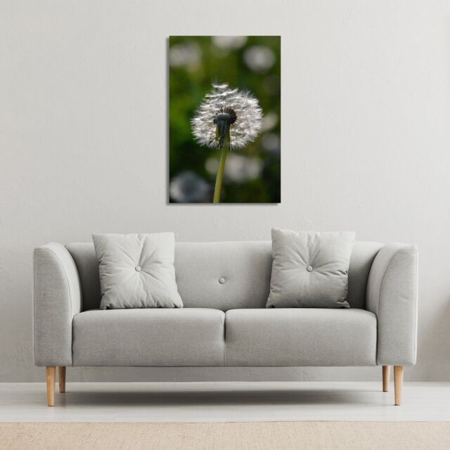 Benjamin Tate Design fluffy flower (Canvas Print) / 152 x 101 x 4cm in Natural - Size: 152 x 101 x 4 cm - image 1
