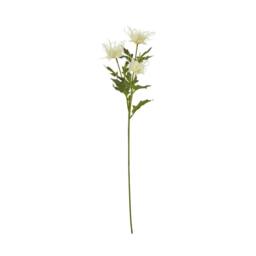 Sostter Cream Sea Holly Faux Flower Stem - thumbnail 2