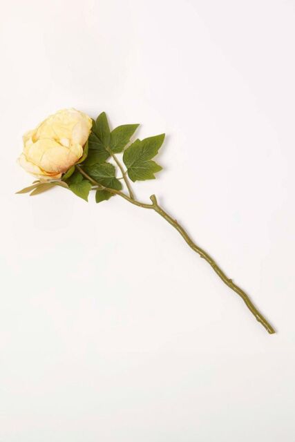 Homescapes Artificial Stem of Dried Peony Flowers in Yellow - image 1