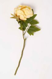 Homescapes Artificial Stem of Dried Peony Flowers in Yellow - thumbnail 2