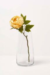 Homescapes Artificial Stem of Dried Peony Flowers in Yellow - thumbnail 4
