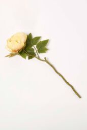 Homescapes Artificial Stem of Dried Peony Flowers in Yellow - thumbnail 1