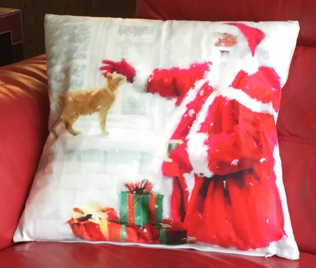 Luxury Living Christmas Santa & Cat decorative cushion cover 45cm x 45cm in Red - Size: 45 cm x 45 cm