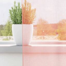 Berkfield Home Voile Curtains with Loops 2 pcs Pink 140x225 cm