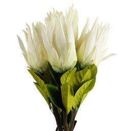 Pegdev Pack of 6 65cm Artificial White Protea Stems with Silk Petals