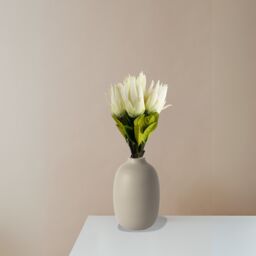 Pegdev Pack of 6 65cm Artificial White Protea Stems with Silk Petals - thumbnail 3