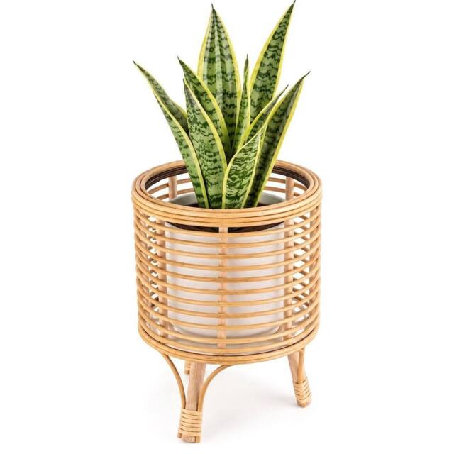 Kelvenix L Rattan Floor Planter Stand with Handle in Brown - image 1