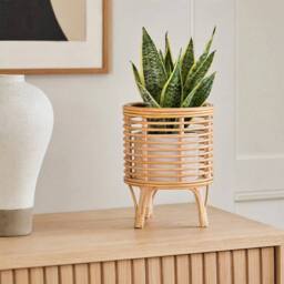 Kelvenix L Rattan Floor Planter Stand with Handle in Brown - thumbnail 5
