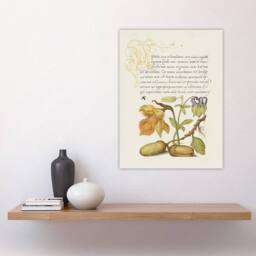 "Artery8 Daffodil Flower & Oak Acorns Calligraphy Wall Art Poster Print in Beige - Size: W24"" x H32""" - thumbnail 4