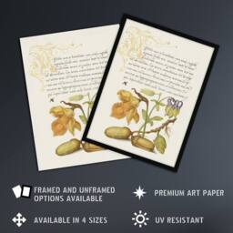 "Artery8 Daffodil Flower & Oak Acorns Calligraphy Wall Art Poster Print in Beige - Size: W24"" x H32""" - thumbnail 2