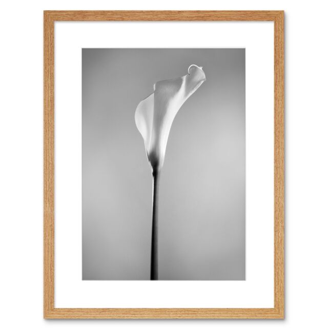 "Artery8 Wall Art Print Flower Black & White Calla Lily Art Framed 9x7 inch in Beige - Size: W7"" x H9""" - image 1