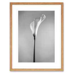"Artery8 Wall Art Print Flower Black & White Calla Lily Art Framed 9x7 inch in Beige - Size: W7"" x H9""" - thumbnail 1