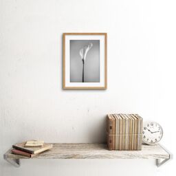 "Artery8 Wall Art Print Flower Black & White Calla Lily Art Framed 9x7 inch in Beige - Size: W7"" x H9""" - thumbnail 2