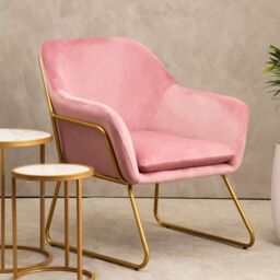 Orsina Functional Velvet Bushed Gold ArmChair, Cozy Desk Chair Velvet, Easy to Clean in Pink