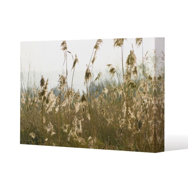 Benjamin Tate Design plumes Slimbridge (Canvas Print) / 77 x 51 x 4cm in Natural - Size: 77 x 51 x 4 cm - image 1