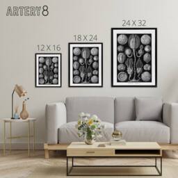 "Artery8 Cystoidea Pouch Stars Marine Life Haeckel Black Framed Canvas Wall Art - Size: W12"" x H16""" - thumbnail 4