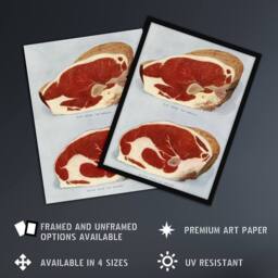 Artery8 Beef Sirloins Illustration Vintage Framed Wall Art Print in Blue - Size: A4 - thumbnail 2