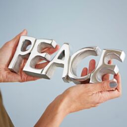 Paper High Reclaimed Metal Peace Sign in Silver - thumbnail 2