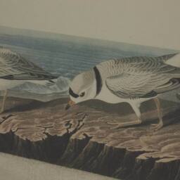 Sostter Linen Wall Art with Beaded Frame & Shorebirds in Brown - thumbnail 2