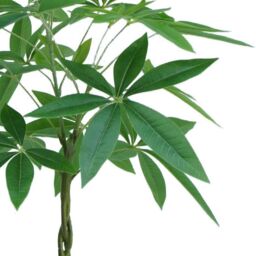 Leaf Artificial Money Tree Pachira Realistic Faux Plant 70cm in Green - thumbnail 2