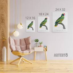 "Artery8 Red & Blue Amazon Parrot Levaillant Canvas Wall Art Print in White - Size: W12"" x H16""" - thumbnail 4