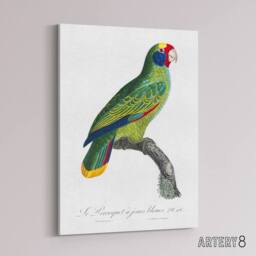 "Artery8 Red & Blue Amazon Parrot Levaillant Canvas Wall Art Print in White - Size: W12"" x H16""" - thumbnail 2