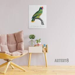 "Artery8 Red & Blue Amazon Parrot Levaillant Canvas Wall Art Print in White - Size: W12"" x H16""" - thumbnail 3