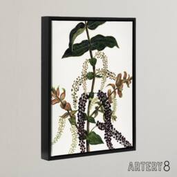 "Artery8 New Zealand Tutu Plant Vintage Artwork Featon Framed Canvas Wall Art in Beige - Size: W12"" x H16""" - thumbnail 2