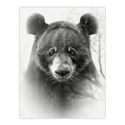 "Artery8 Wall Art Print Bear Portrait Pencil Drawing Animal Lover Realistic Poster in Grey - Size: W18"" x H24""" - thumbnail 1