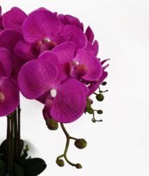Leaf 85cm Artificial Deluxe Bush Orchid - Dark Pink - thumbnail 4