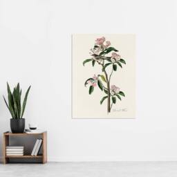"Artery8 Cuviers Kinglet Bird & Mountain Laurel Audubon Wall Art Print Poster in White - Size: W24"" x H32""" - thumbnail 4