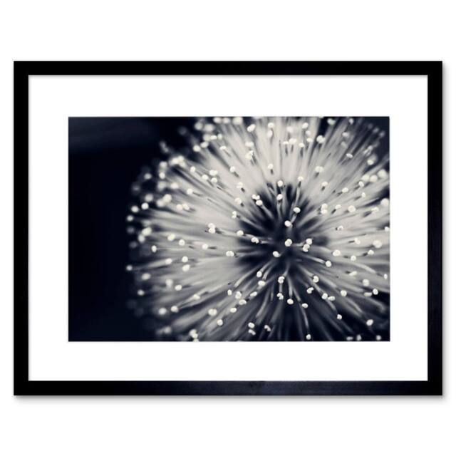 "Artery8 Floral Bloom Flower Black White Photo Home Decor 12x16"" Framed Art - Size: W12"" x H16""" - image 1