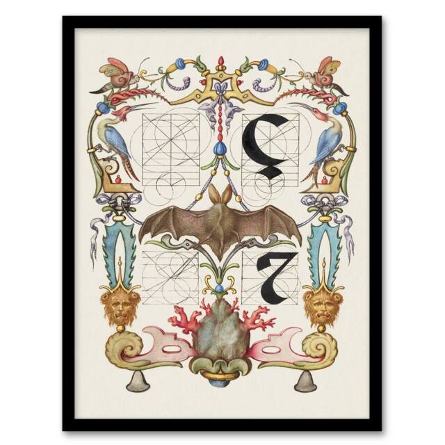 Artery8 Model Book of Calligraphy Framed Wall Art Pictoral Letter Guide with Bat in White - Size: A4 - image 1