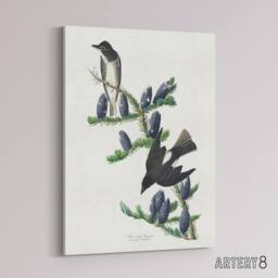 "Artery8 Olive Sided Flycatcher Bird on Fir Tree Audubon Canvas Wall Art in White - Size: W18"" x H24""" - thumbnail 2