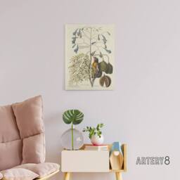 "Artery8 Vintage Bird & Plant Illustration Catesby Canvas Wall Art in Beige - Size: W18"" x H24""" - thumbnail 3