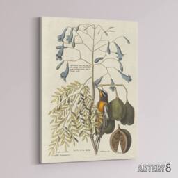 "Artery8 Vintage Bird & Plant Illustration Catesby Canvas Wall Art in Beige - Size: W18"" x H24""" - thumbnail 2