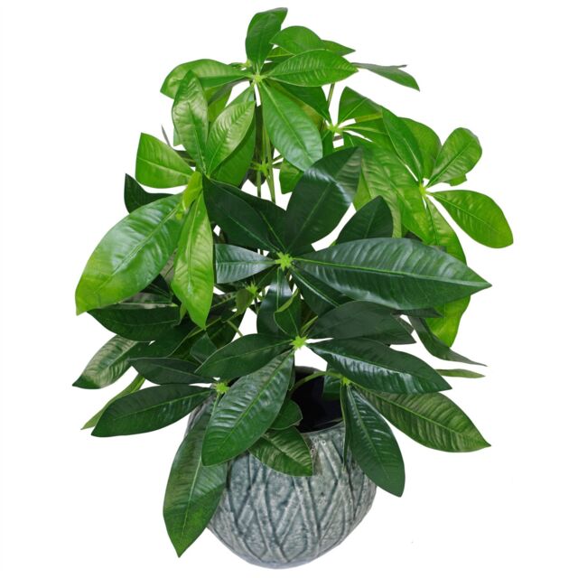 Leaf 50cm Artificial Money Tree Plant Pachira in Green - image 1