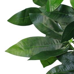 Leaf 50cm Artificial Money Tree Plant Pachira in Green - thumbnail 6