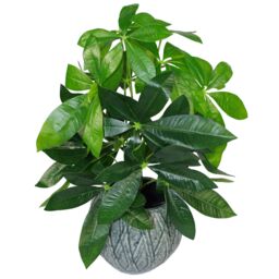 Leaf 50cm Artificial Money Tree Plant Pachira in Green