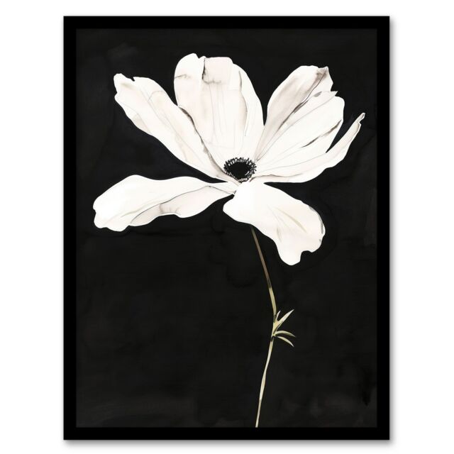 "Artery8 White Flower Bloom Black Background Watercolour Framed Art Print - Size: W12"" x H16""" - image 1