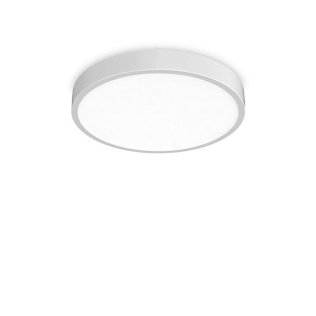 Netlighting Ray Integrated LED Semi Flush Light White 6850Lm 30004000K IP44