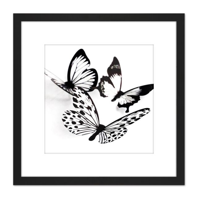 Artery8 Three Black White Butterflies Group Collage Photo 8X8 Inch Square Wooden Framed Wall Art Print Picture with Mount - image 1